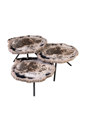 Petrified Wood Coffee Table Set (3) | Versmissen | Oroa.com