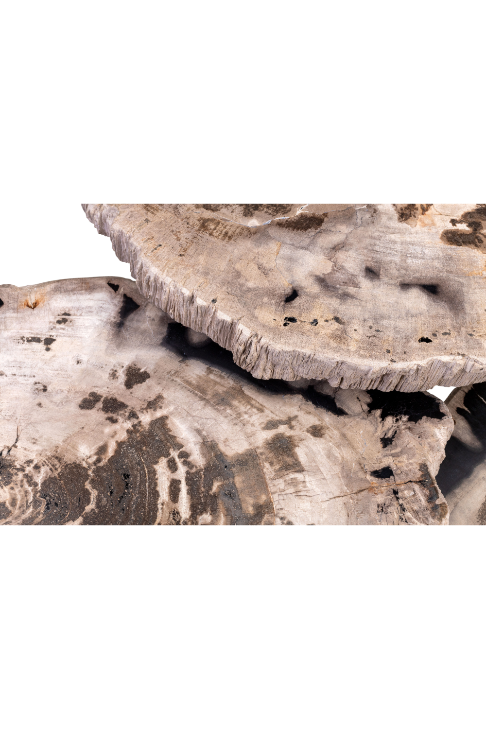 Petrified Wood Coffee Table Set (3) | Versmissen | Oroa.com