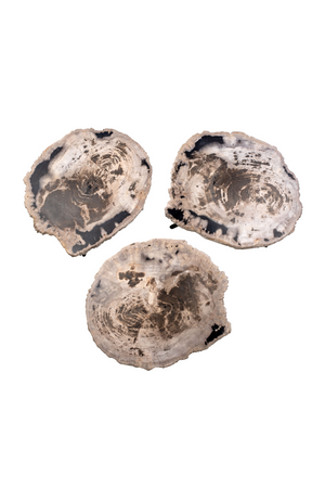 Petrified Wood Coffee Table Set (3) | Versmissen | Oroa.com