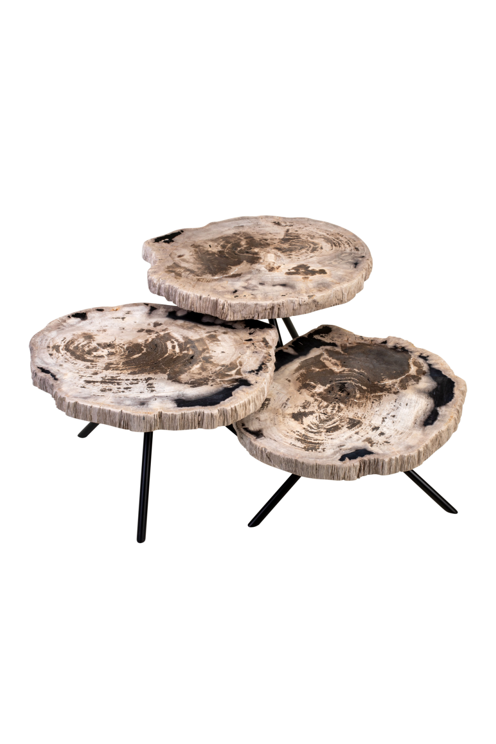 Petrified Wood Coffee Table Set (3) | Versmissen | Oroa.com