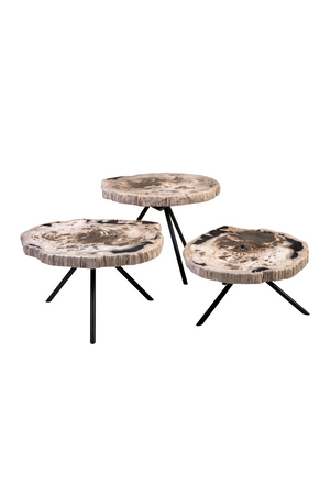 Petrified Wood Coffee Table Set (3) | Versmissen | Oroa.com