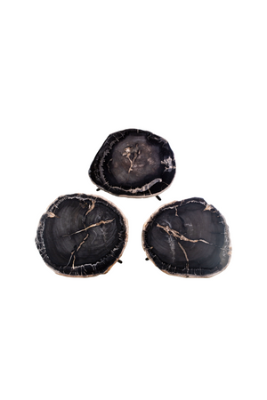 Petrified Wood Coffee Table Set (3) | Versmissen | Oroa.com