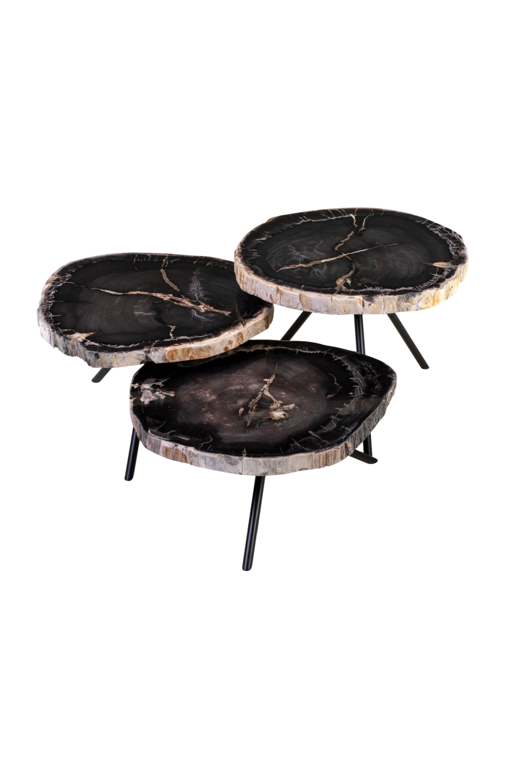 Petrified Wood Coffee Table Set (3) | Versmissen | Oroa.com