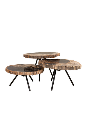 Petrified Wood Coffee Table Set (3) | Versmissen | Oroa.com