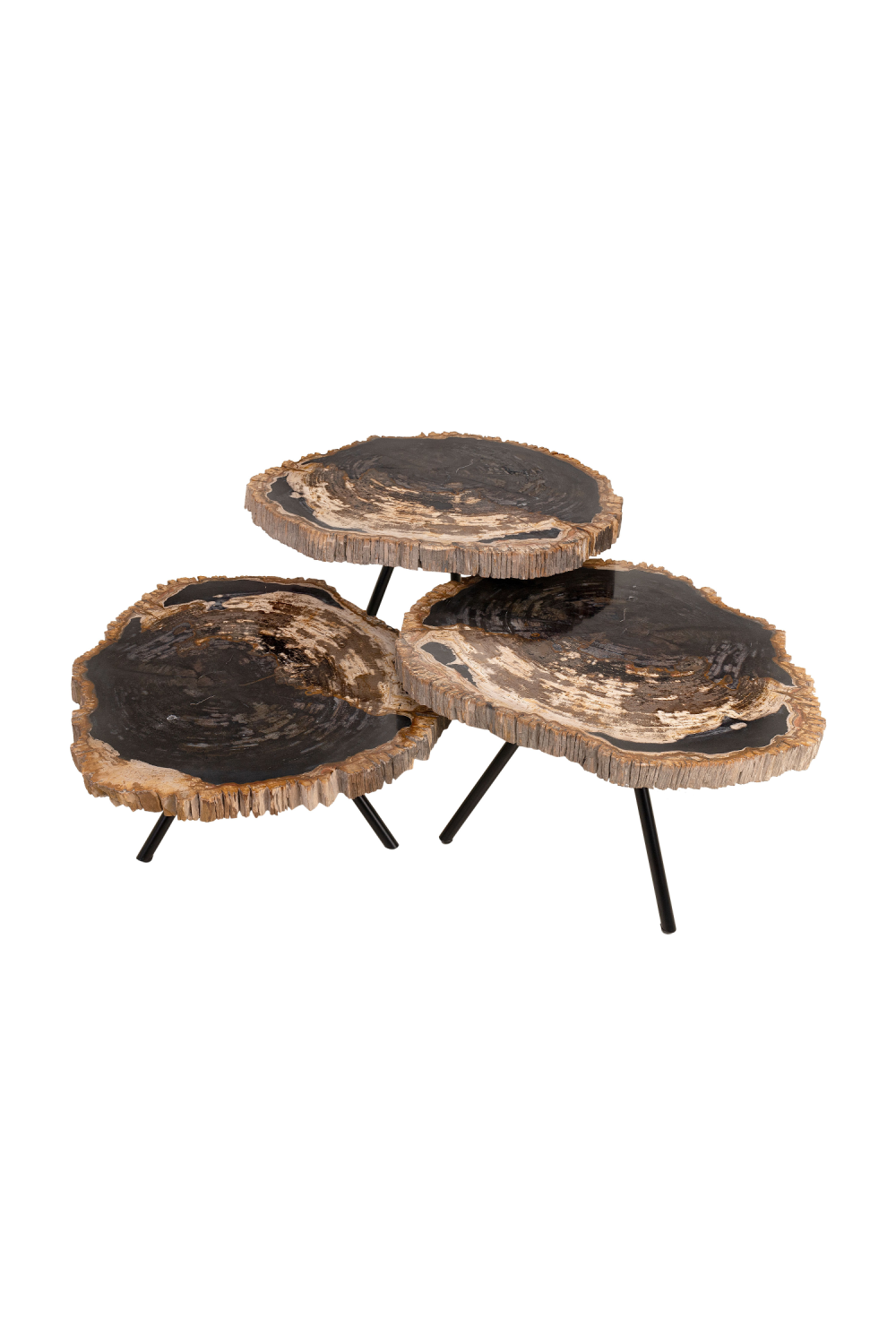 Petrified Wood Coffee Table Set (3) | Versmissen | Oroa.com