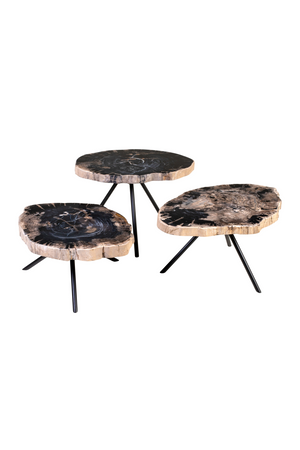 Petrified Wood Coffee Table Set (3) | Versmissen | Oroa.com