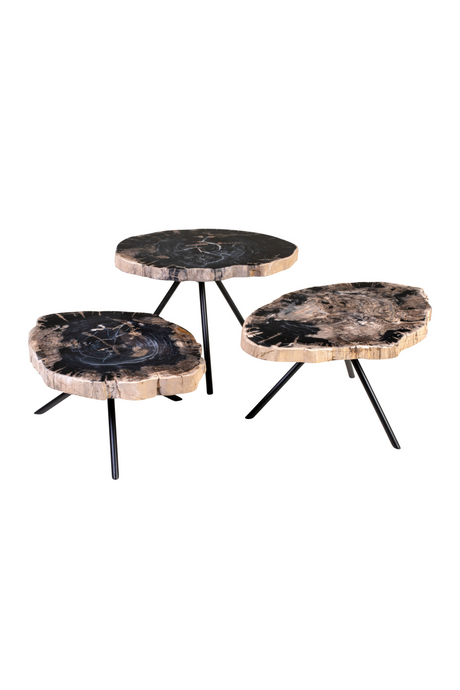 Petrified Wood Coffee Table Set (3) | Versmissen | Oroa.com