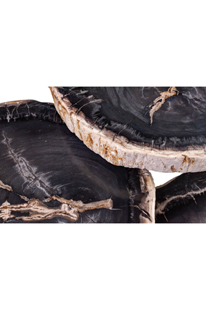 Petrified Wood Coffee Table Set (3) | Versmissen | Oroa.com