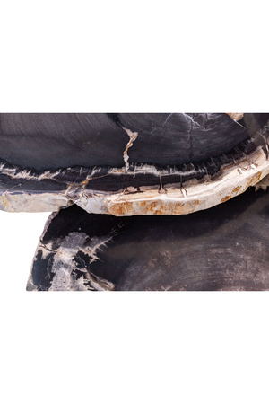 Petrified Wood Coffee Table Set (3) | Versmissen | Oroa.com