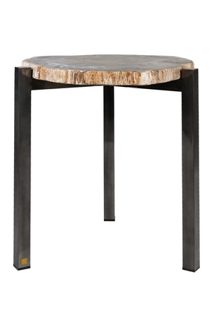 Petrified Wood Occasional Table | Versmissen | Oroa.com