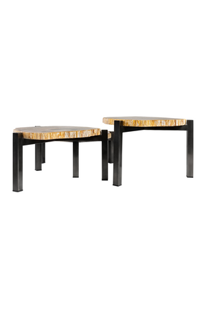 Petrified Wood Nested Coffee Tables (3) | Versmissen | Oroa.com