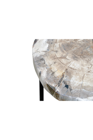 Petrified Wood Coffee Table | Versmissen | Oroa.com
