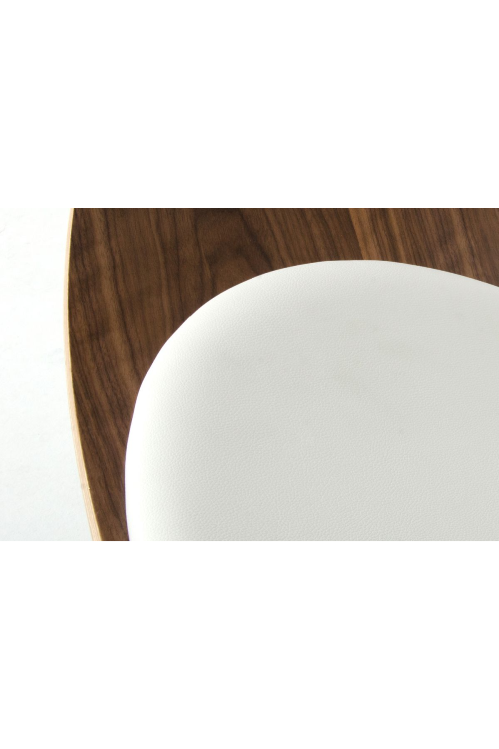 Curved Seat Accent Chair | OROA Modern Warren | Oroa.com
