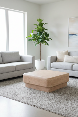 Natural Mango Wood Coffee Table | OROA Modern Bruno