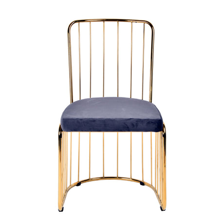 Gold Chrome Framed Dining Chairs (2) | OROA Modern Holly