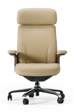 Leather Executive Office Chair | OROA Modern Johnson | Oroa.com