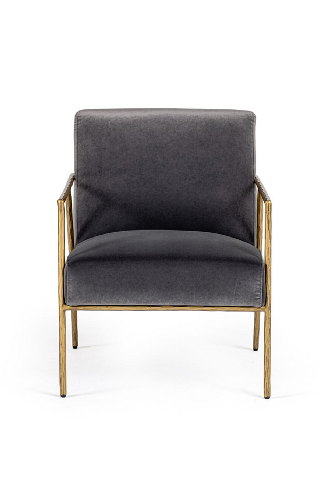 Gold-Framed Gray Velvet Accent Chair | OROA Modern Gibbons | Oroa.com