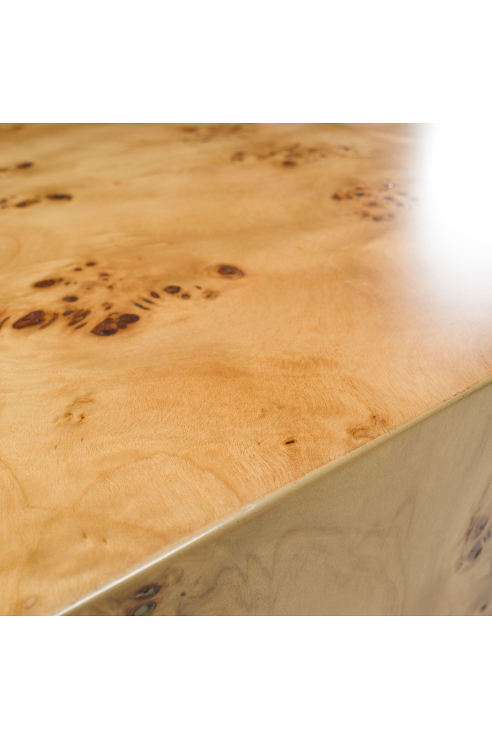 Burl Wood Coffee Table | OROA Modern August | Oroa.com