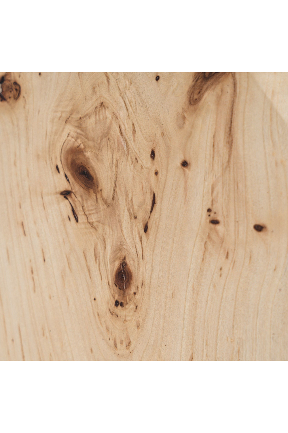 Mappa Burl End Table | OROA Modern July | Oroa.com