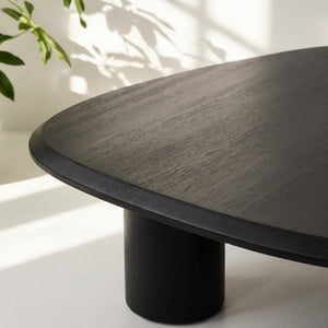   Freeform Ash Coffee Table Set (2) | Oroa.com