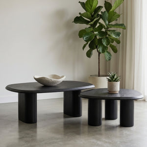   Freeform Ash Coffee Table Set (2) | Oroa.com