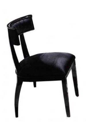 Black Dining Chair Set (2) | OROA Modern Alek | Oroa.com