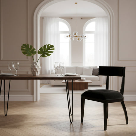   Black Dining Chair Set (2) | Oroa.com