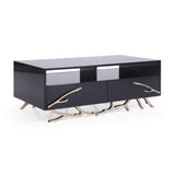 Black & Gold Storage Coffee Table | OROA Modern Legend