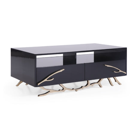 Black & Gold Storage Coffee Table | OROA Modern Legend