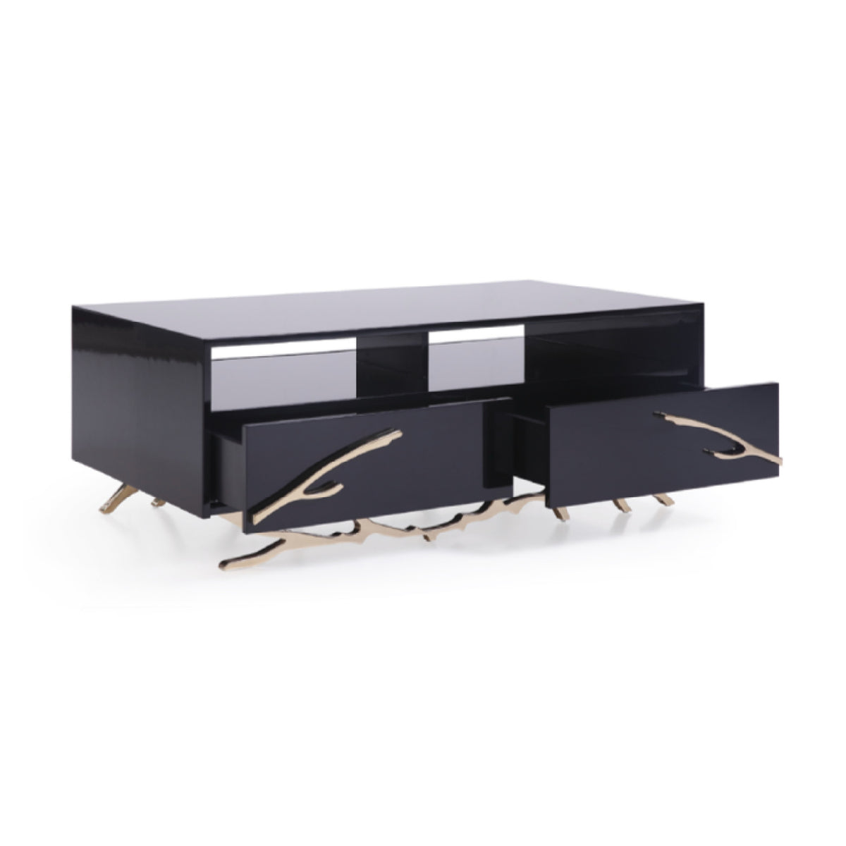 Black & Gold Storage Coffee Table | OROA Modern Legend