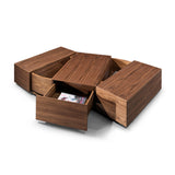 Walnut Storage Coffee Table | OROA Modern Leslie
