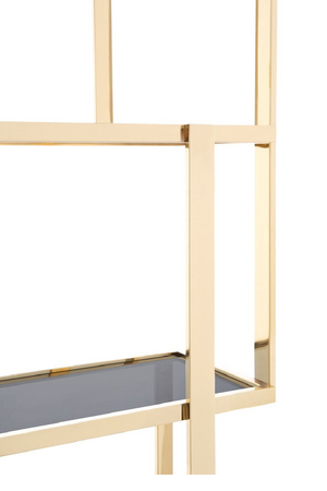 Gold Framed Bookcase | OROA Modern Tipton | Oroa.com