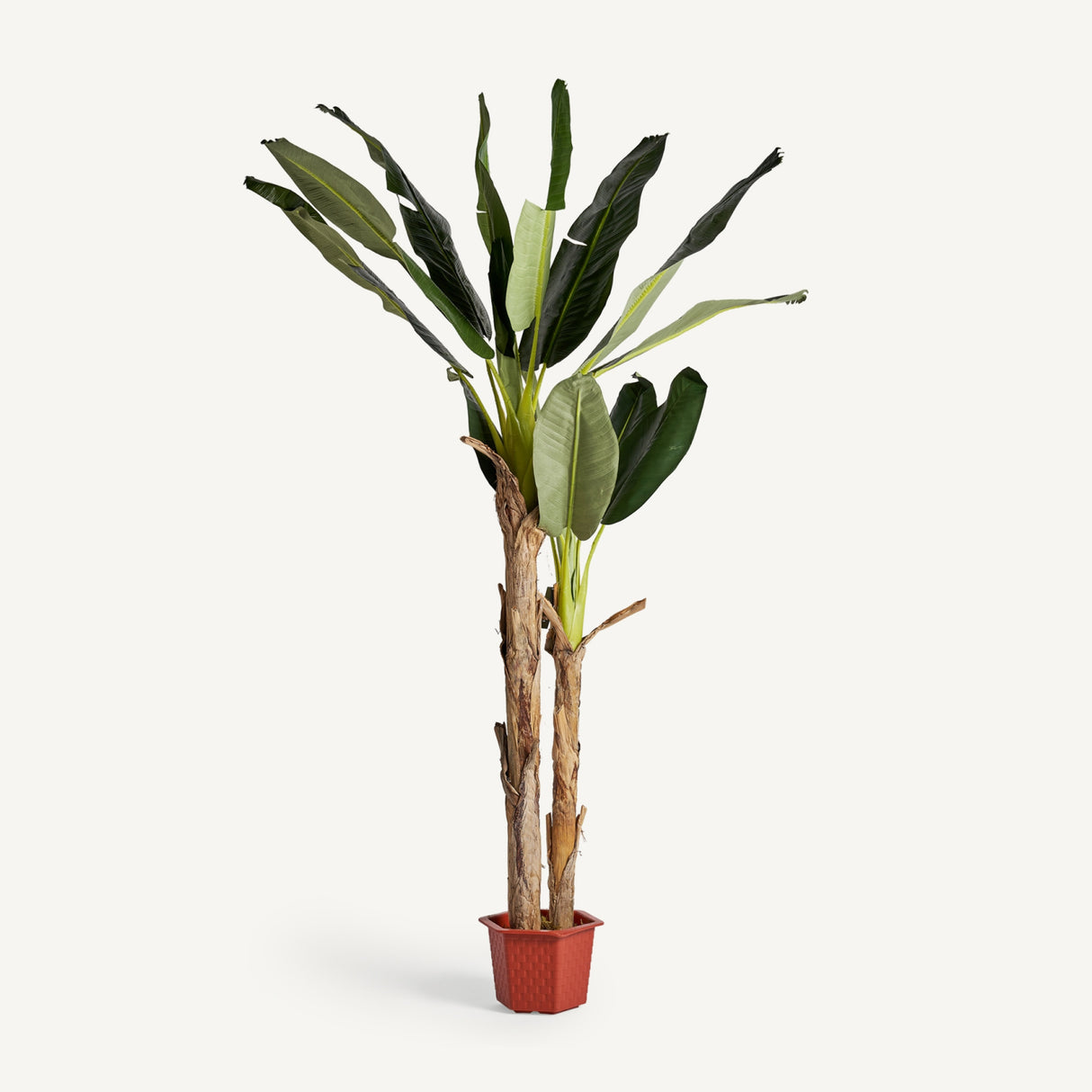   Green Leaf Potted Faux Plant | Oroa.com