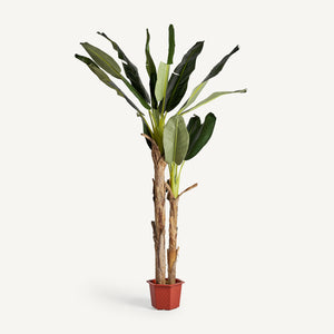   Green Leaf Potted Faux Plant | Oroa.com