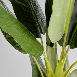   Green Leaf Potted Faux Plant | Oroa.com