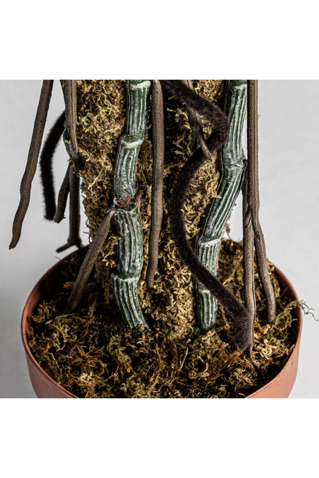 Green Artificial Plant | Vical Home Split Philo | Oroa.com