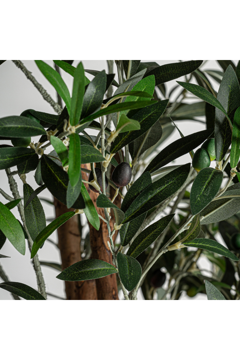 Green Olive Artificial Plant | Vical Home Olivo | Oroa.com