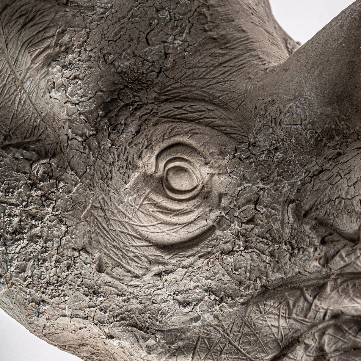   Gray Animal Bust Sculpture | Oroa.com