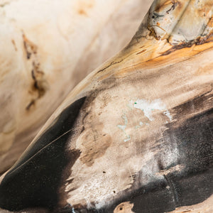   Petrified Wood Decorative Figure | Oroa.com