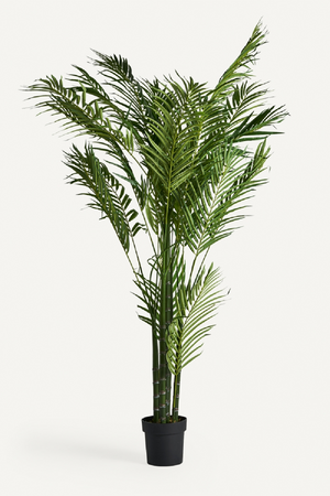 Artificial Green Palmera Plant | Vical Home | Oroa.com