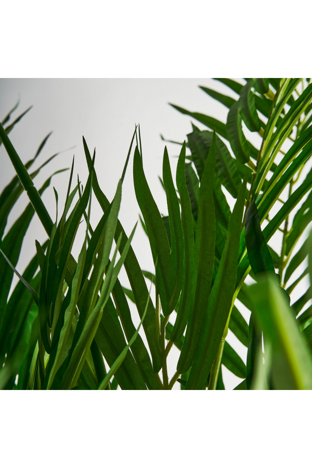 Artificial Green Palmera Plant | Vical Home | Oroa.com