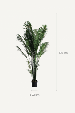 Artificial Green Palmera Plant | Vical Home | Oroa.com
