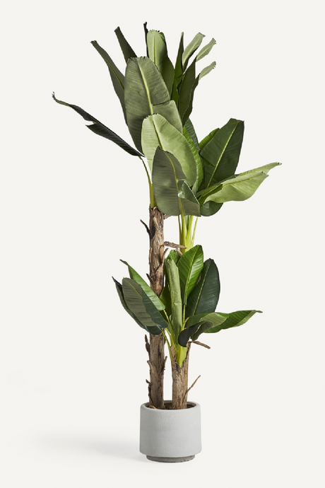 Artificial Banana Tree | Vical Home | Oroa.com
