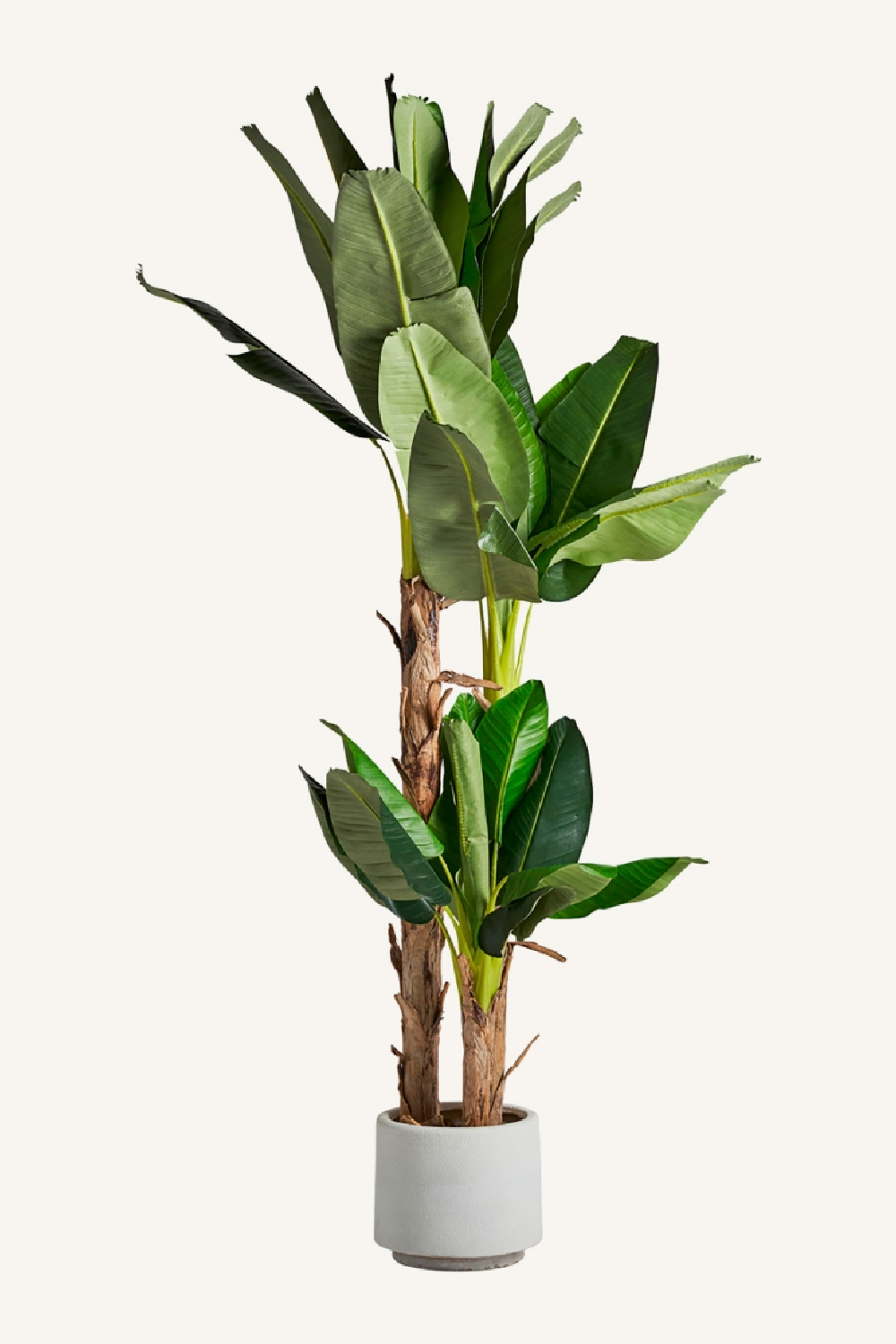 Artificial Banana Tree | Vical Home | Oroa.com
