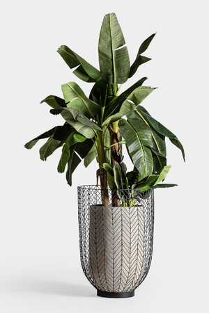 Black Metal Planter (2) | Vical Home | Oroa.com