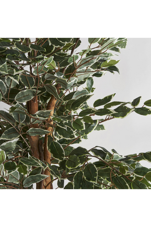 Artificial Leafy Tropical Plant | Vical Home Ficus | Oroa.com