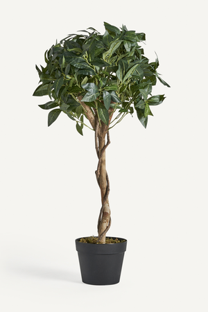 Mediterranean Artificial Plant | Vical Home Laurel | Oroa.com