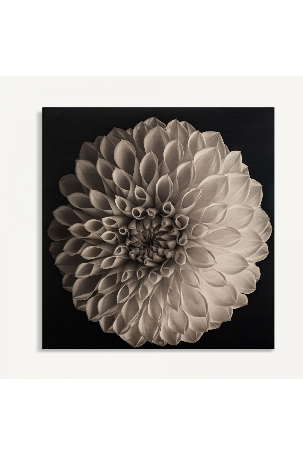 Monochromatic Floral Art Print | Vical Home Whill | Oroa.com