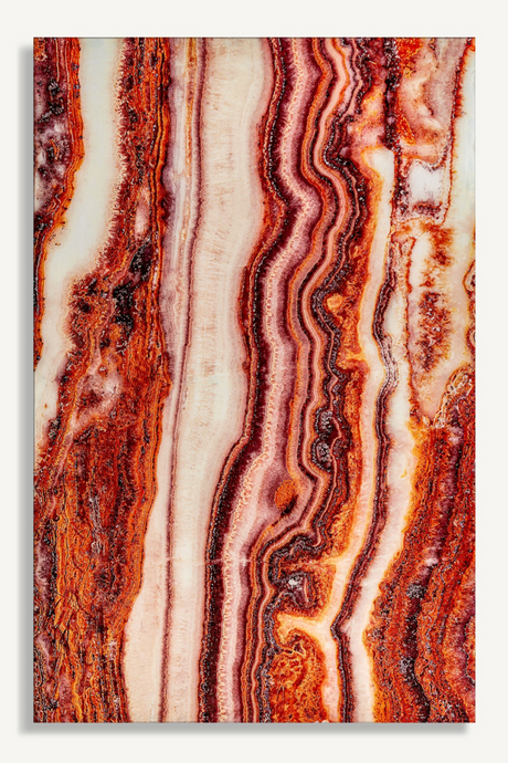 Coral Paper Art Print M | Vical Home Astanxatina | Oroa.com