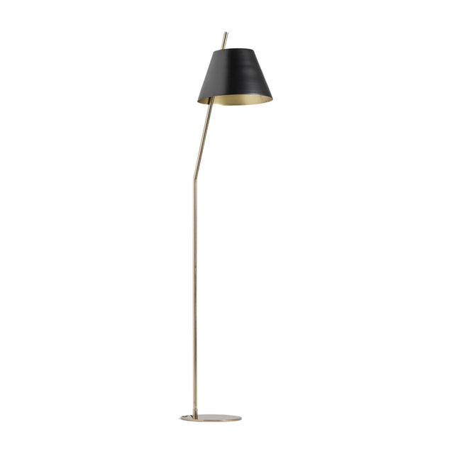 Modern European furniture - Gold Iron Floor Lamp - www.oroa.com